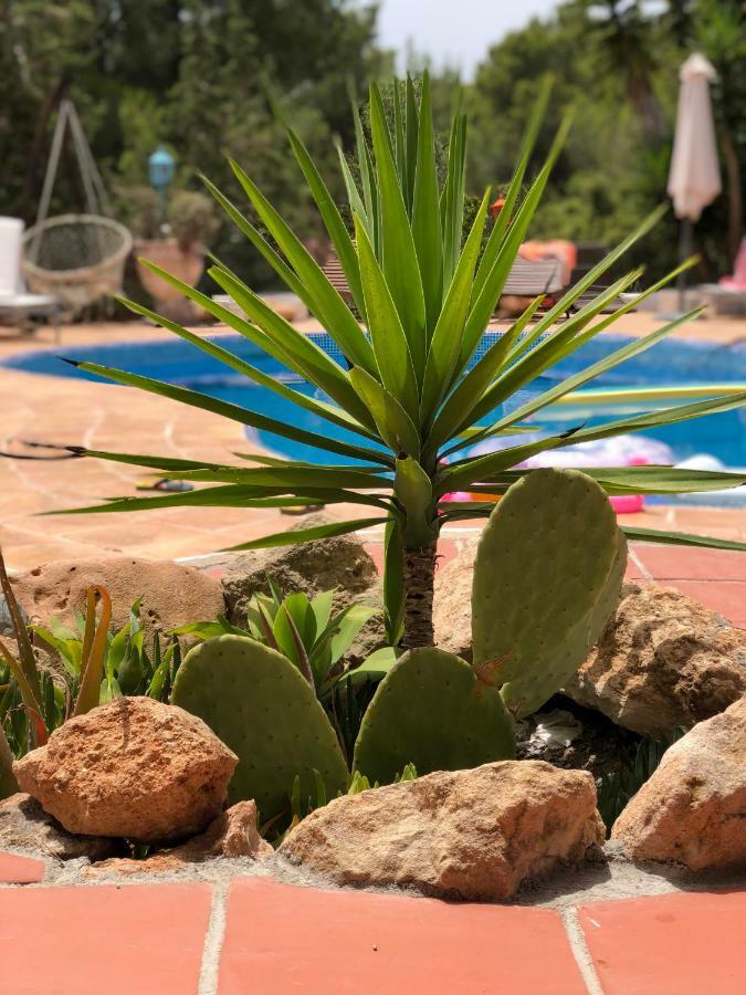 Vila Micasa Ibiza San Antonio  Exteriér fotografie